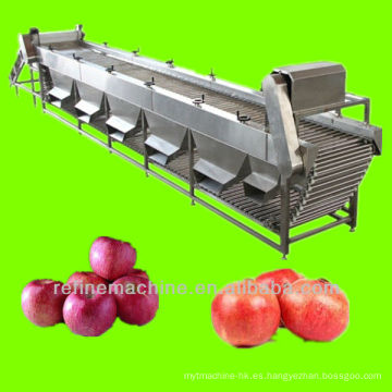 Máquina de clasificación de manzana / equipo / planta